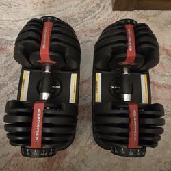 Bowflex Adjustable Dumbbells 