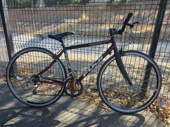 Fuji Newest 3.0 with Carbon fork