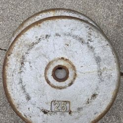 Weights - (2) 25Lb. Plates - Standard Weights