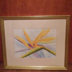 Water Color Framed Prints $25 Each