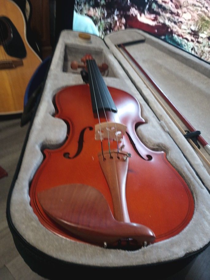 Redish Brown Violin