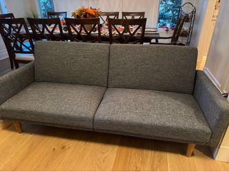 Couch/Fold Out Bed