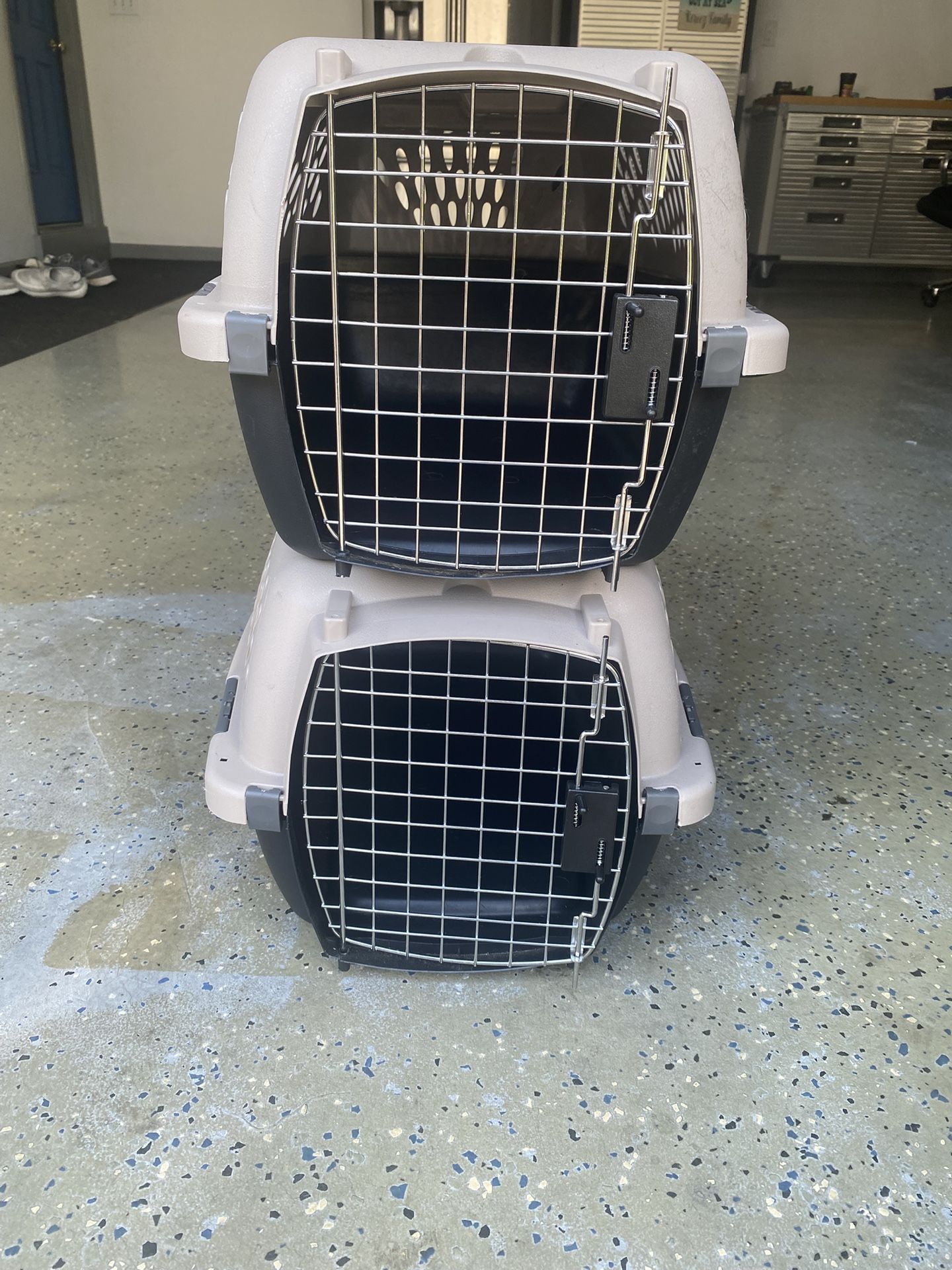 Petmate Pet Taxi 2 Carriers