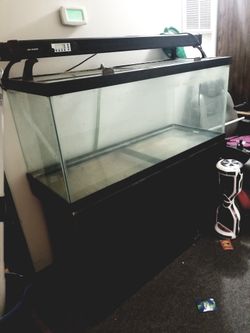 Tank and stand