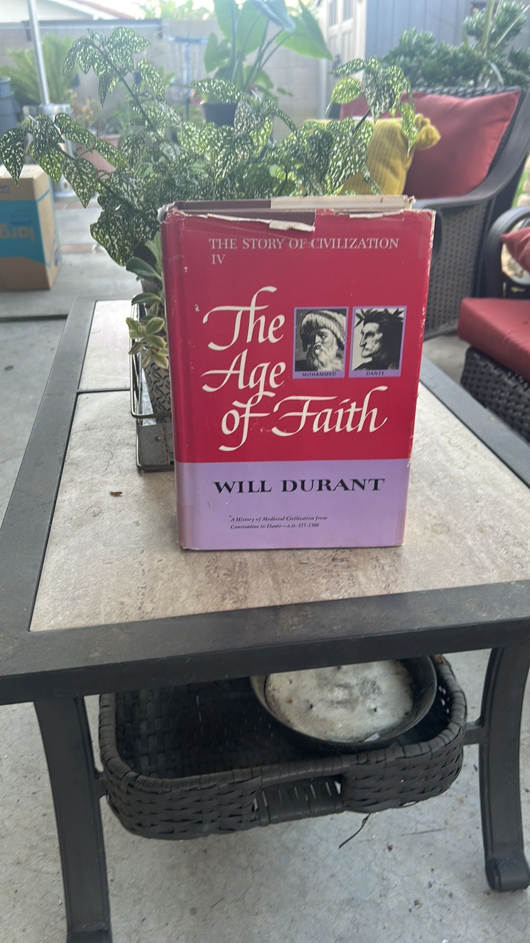 Book The age Of Faith Hardback