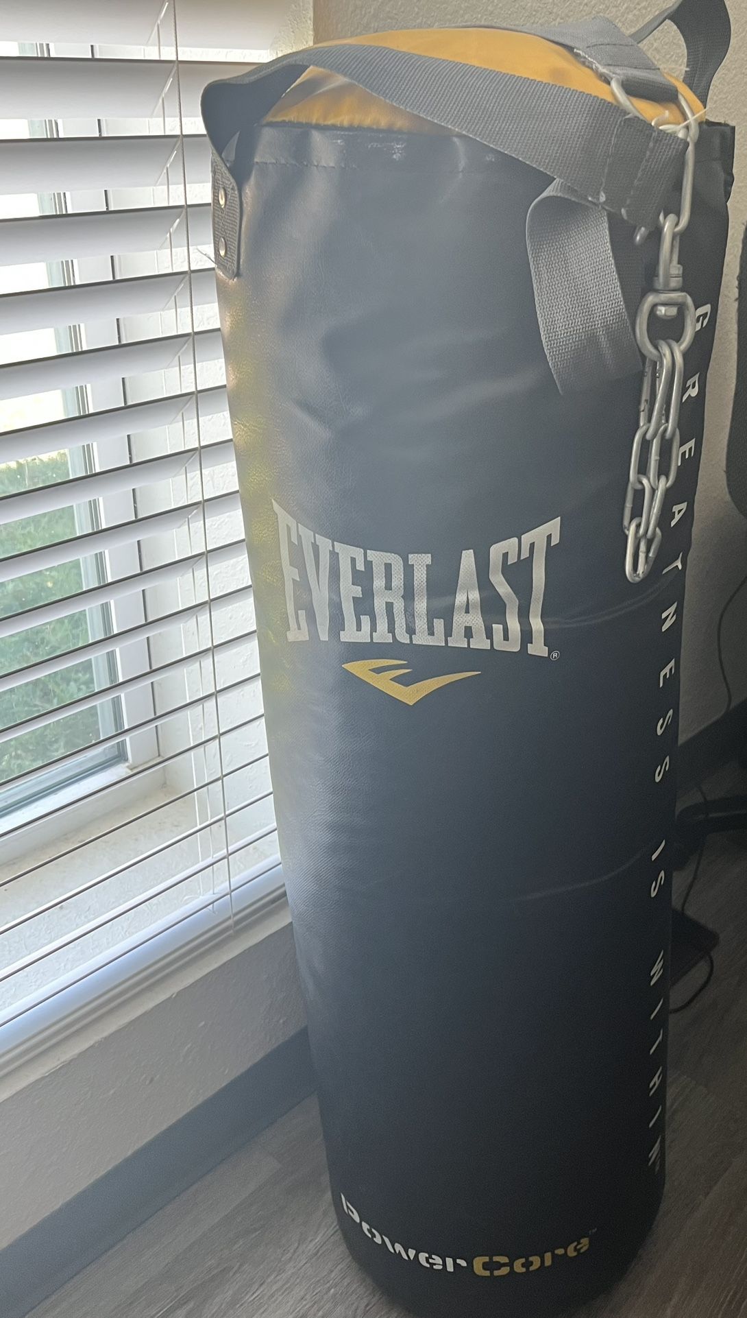 Everlast Punching Bag (Bolsa De Boxeo )