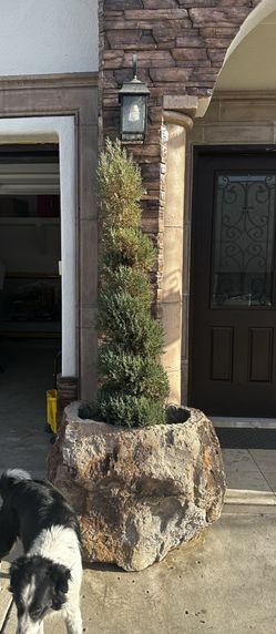 PLANTERS HAND MADE