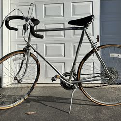 Panasonic 29” old school 10 speed bicycle