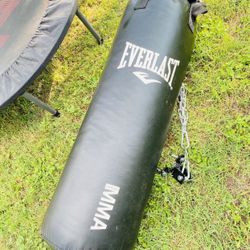 Everlast MMA Punching Bag 