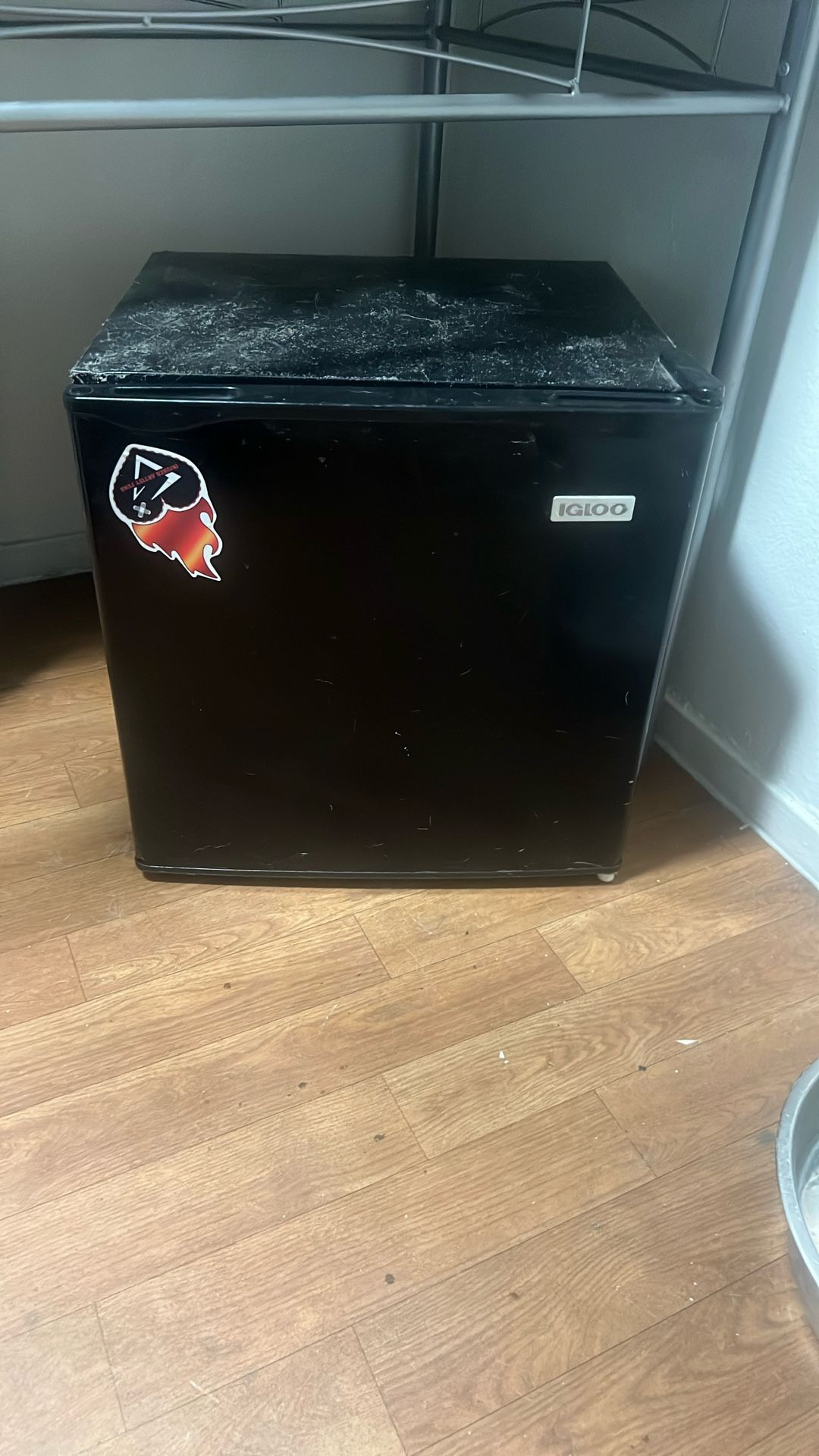 Mini Fridge Igloo