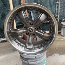 Shelby Rims