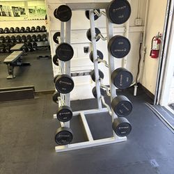 Fixed EZ Curl bar Set