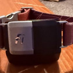 FI dog Collar