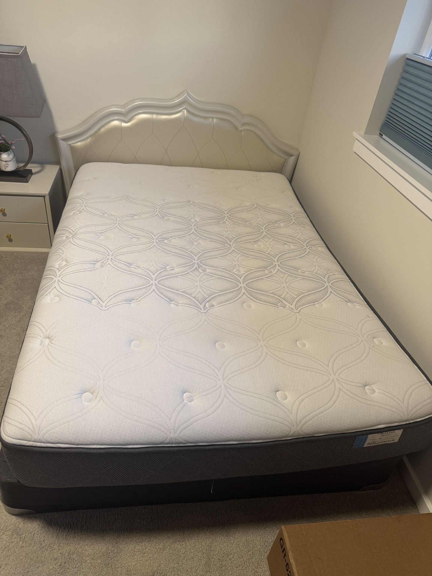 Bed Spring And Mattress 