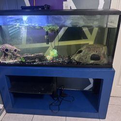 55 Gallon Fish Tank With Stand