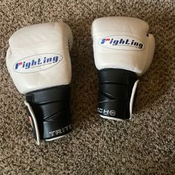 Fighting Boxing Gloves