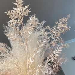 Dried Flowers Pink And White Pampas Grass With Vase