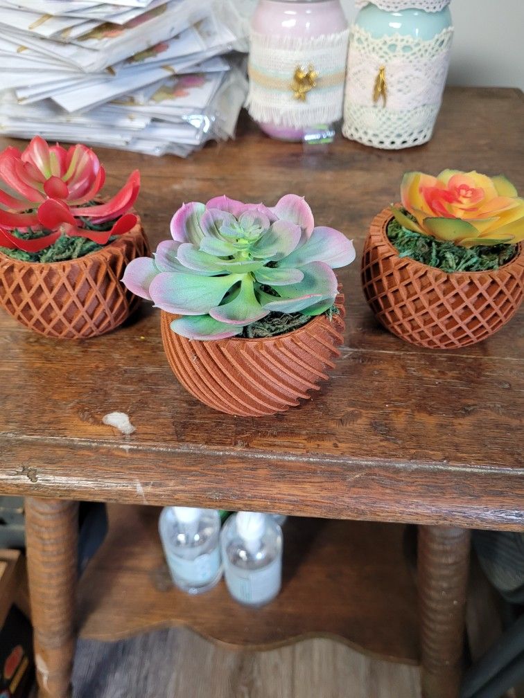 Succulent Decor (Artificial Plants)