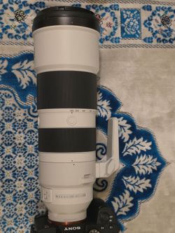 Sony FE 200-600mm f/5.6-6.3 G OSS Lens
