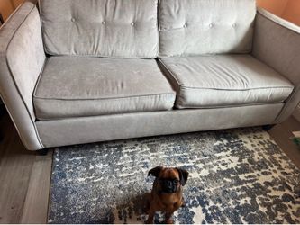 Grey Loveseat/full bed pullout good condition