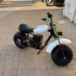Costume Mini Bike