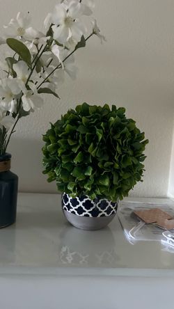 Beautiful vases