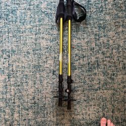 Cascade Mountain Tech Trekking Poles Great Condition