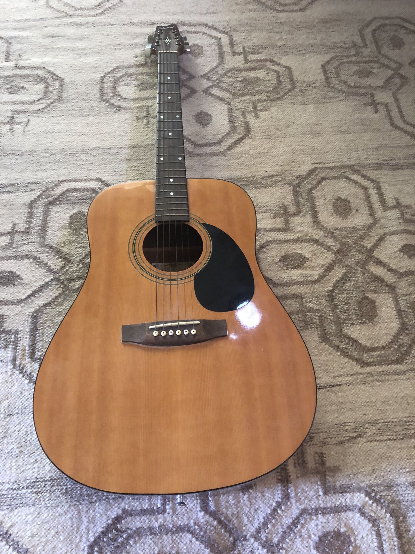 Montana acoustic guitar