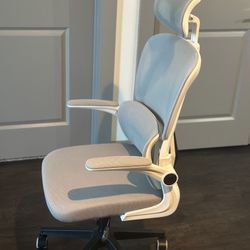 Office Chair ( Ergonomic)