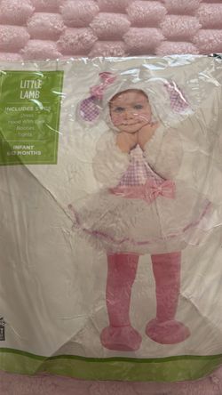 Little lamb 5 pieces