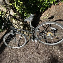 28” Bike Specialized Crossroads