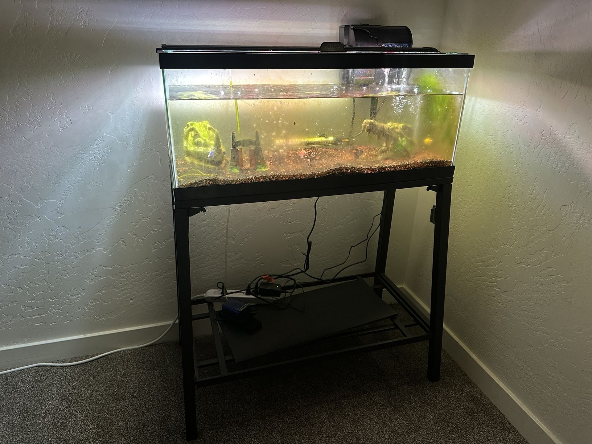 Fish Tank
