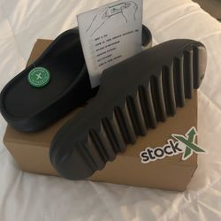 YEEZY SLIDES size 12 men’s