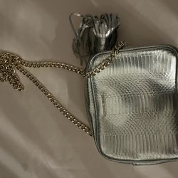 Victoria Secret Silver Purse 