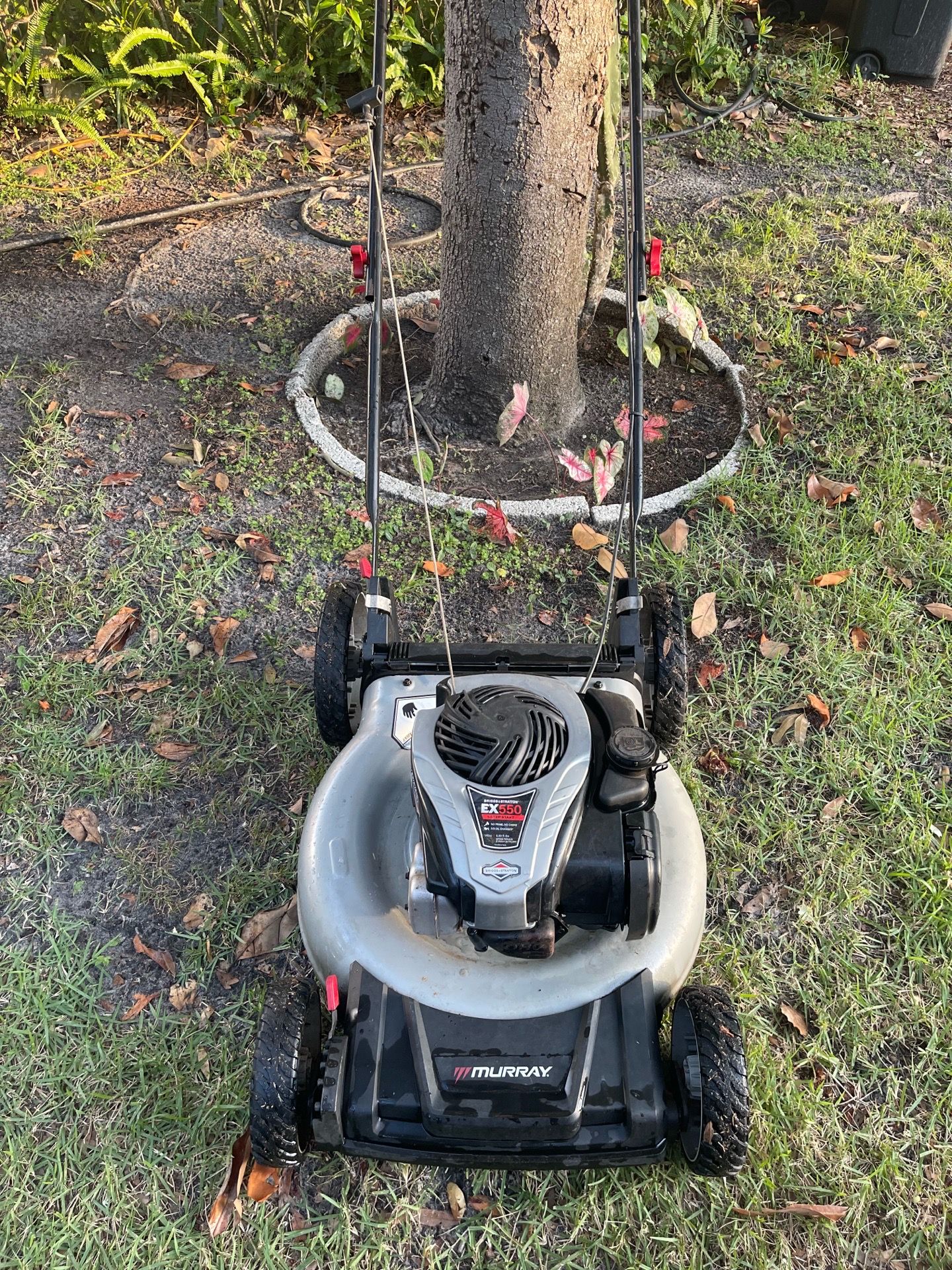 High Wheel Lawn Mower 21” cut with a 5.5 HP engine