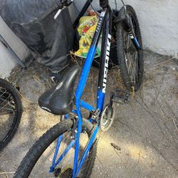 Nishiki Mountain Bike