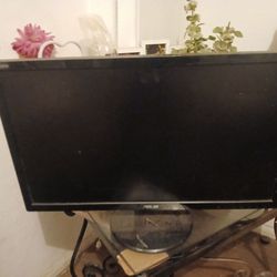 Gaming Monitor