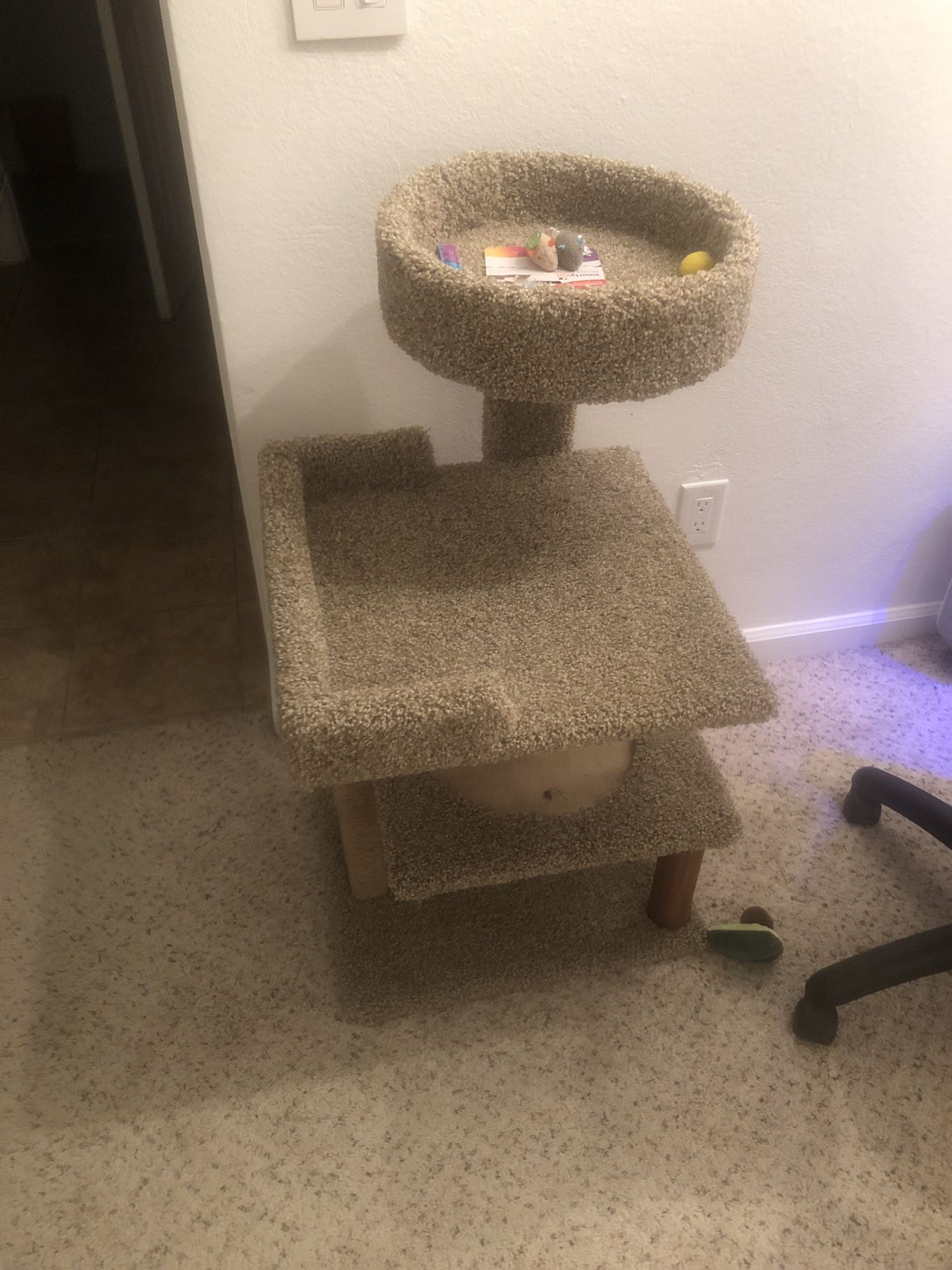 Kitty Tree 