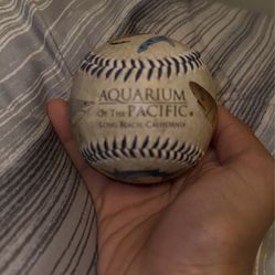 Aquarium Of The Pacific Baseball Rare 