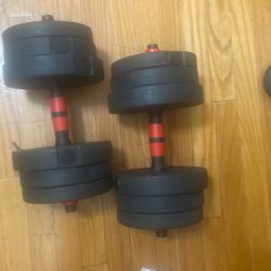 42 Pound Dumbbells 