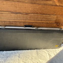 Rickenbacker Guitar Flight Case