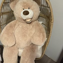 Large Teddy Bear