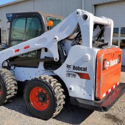 Bobcat