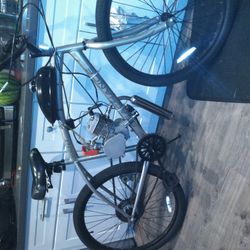 2 Stroke Gas Powered Cruiser Bike