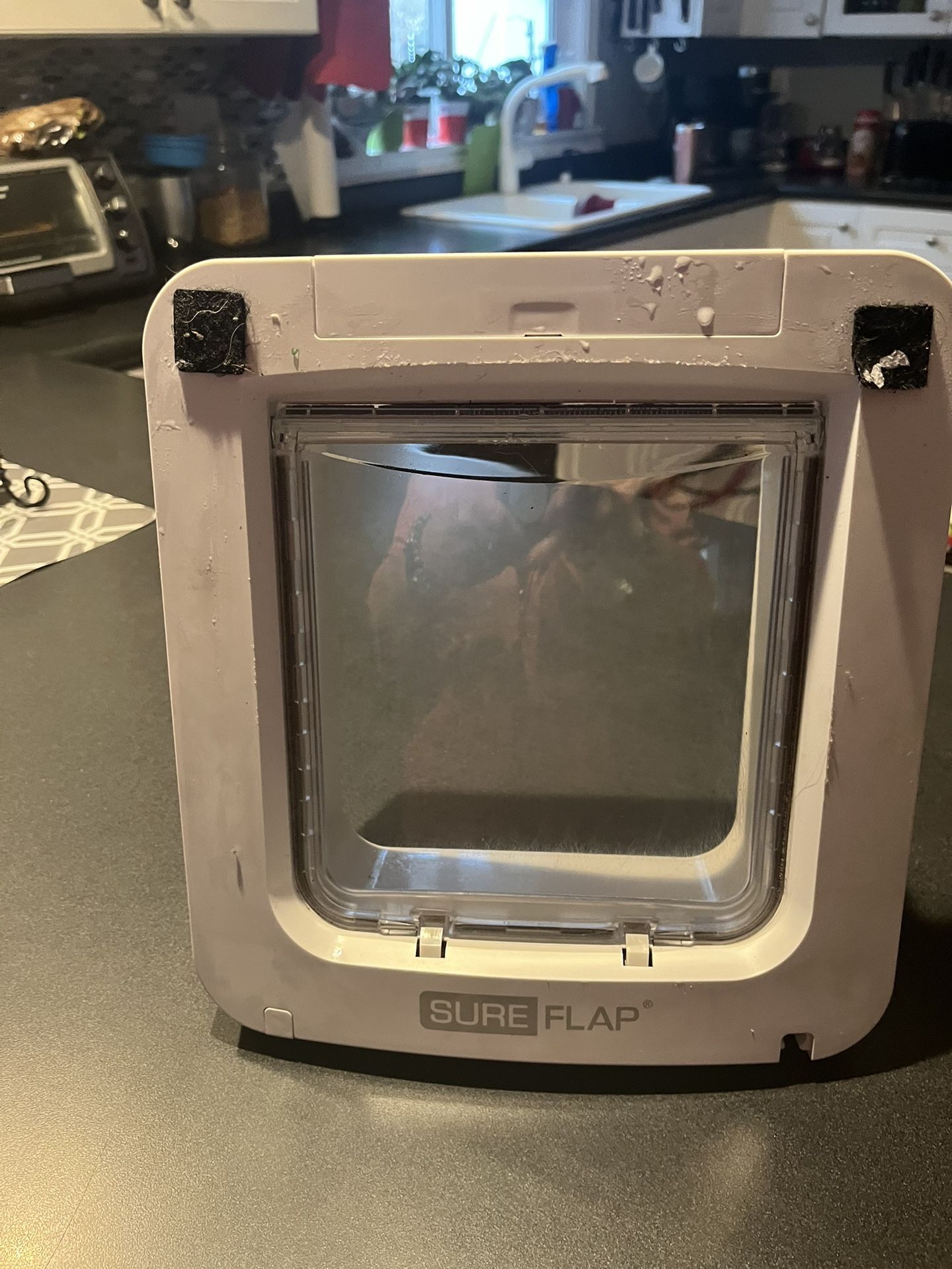 Dog/cat door