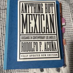 Anything But Mexican New Edition 