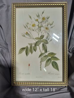 Framed Floral Wall Art 