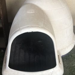 Igloo house 
