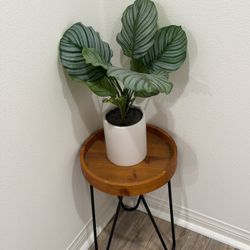 Plant Stand + Faux Plant