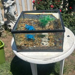 Nice 14 Gallon Fish / Reptile Tank